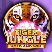 Trò chơi Sic Bo và Dragon Tiger