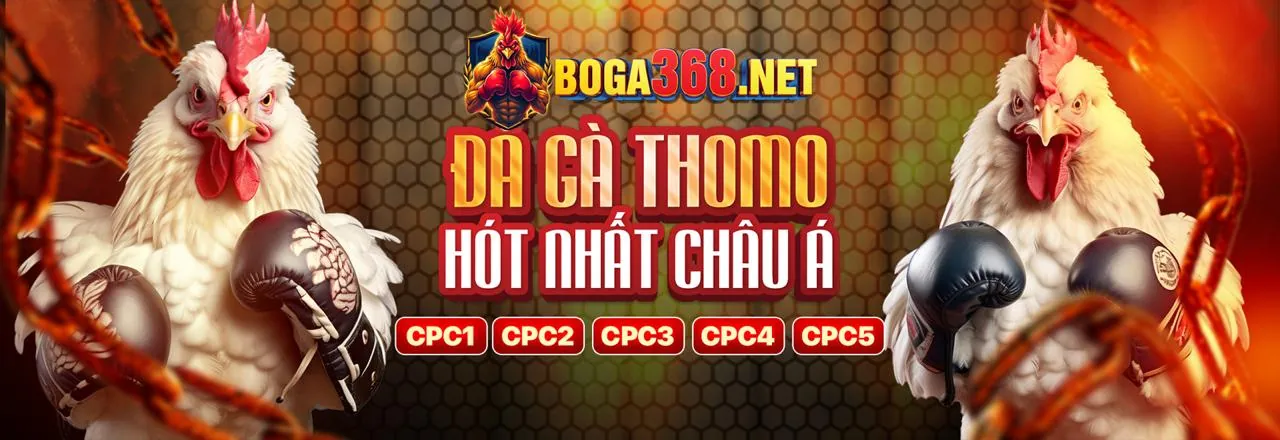 Đá gà trực tuyến Sbotop Login